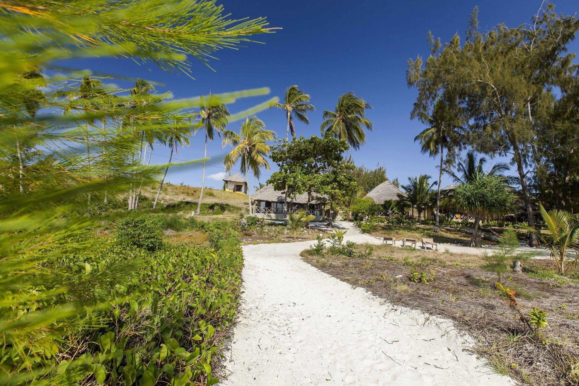 Hotel The Cove Paje Zewnętrze zdjęcie